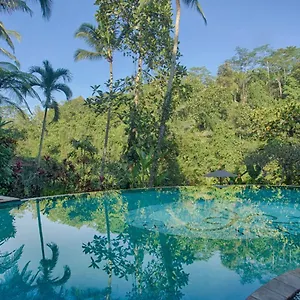 Anahata Villas&spa **** Ubud